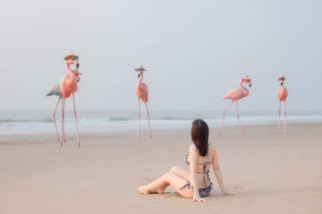 Ib306 Tu Doanh - Flamingo Hai Tien Thanh Hóa エクステリア 写真